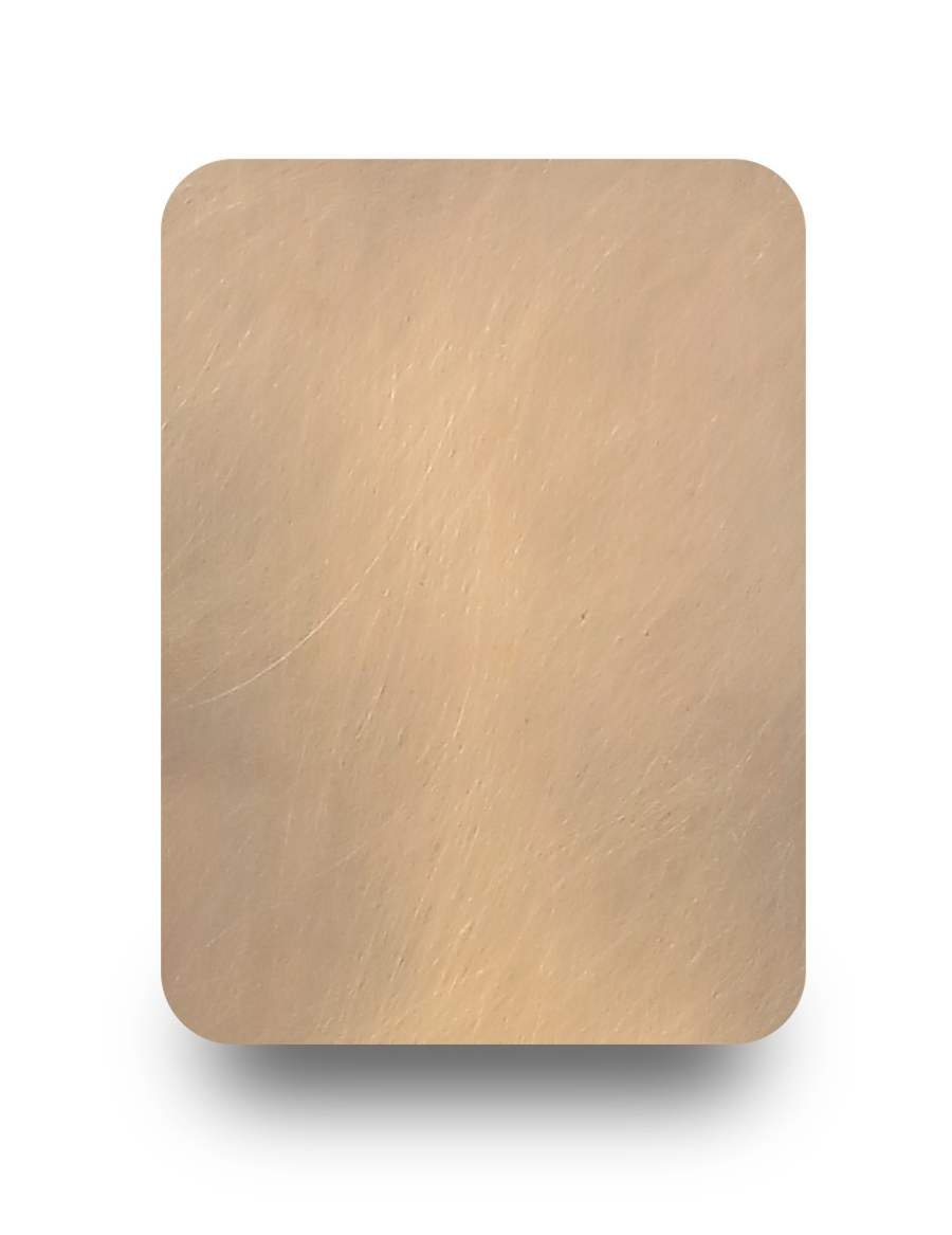 Brass shade 19