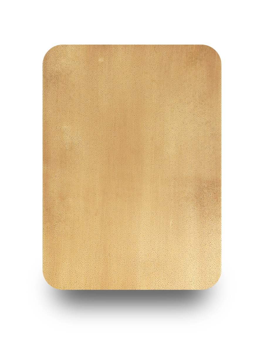 Brass shade 04