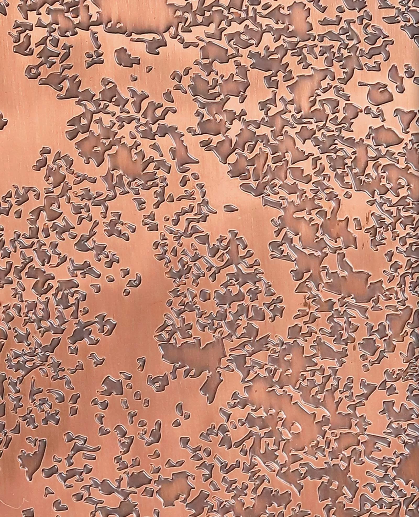 Dune view 2